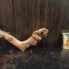 Коряга декор для акваріума # 109. Кораловий корінь. Ціна 140 грн. - Зображення 6