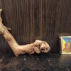 Коряга декор для акваріума # 109. Кораловий корінь. Ціна 140 грн. - Зображення 5