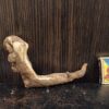Коряга декор для акваріума # 109. Кораловий корінь. Ціна 140 грн. - Зображення 2