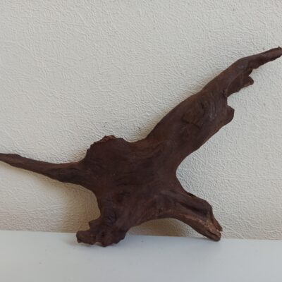 Коряга декор для акваріума # 45. Кораловий корінь. Ціна 220 грн.
