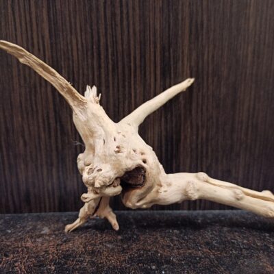 Коряга декор для акваріума # 63. Азалія. Ціна 90 грн.