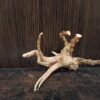 Коряга декор для акваріума # 100. Азалія. Ціна 130 грн. - Зображення 7
