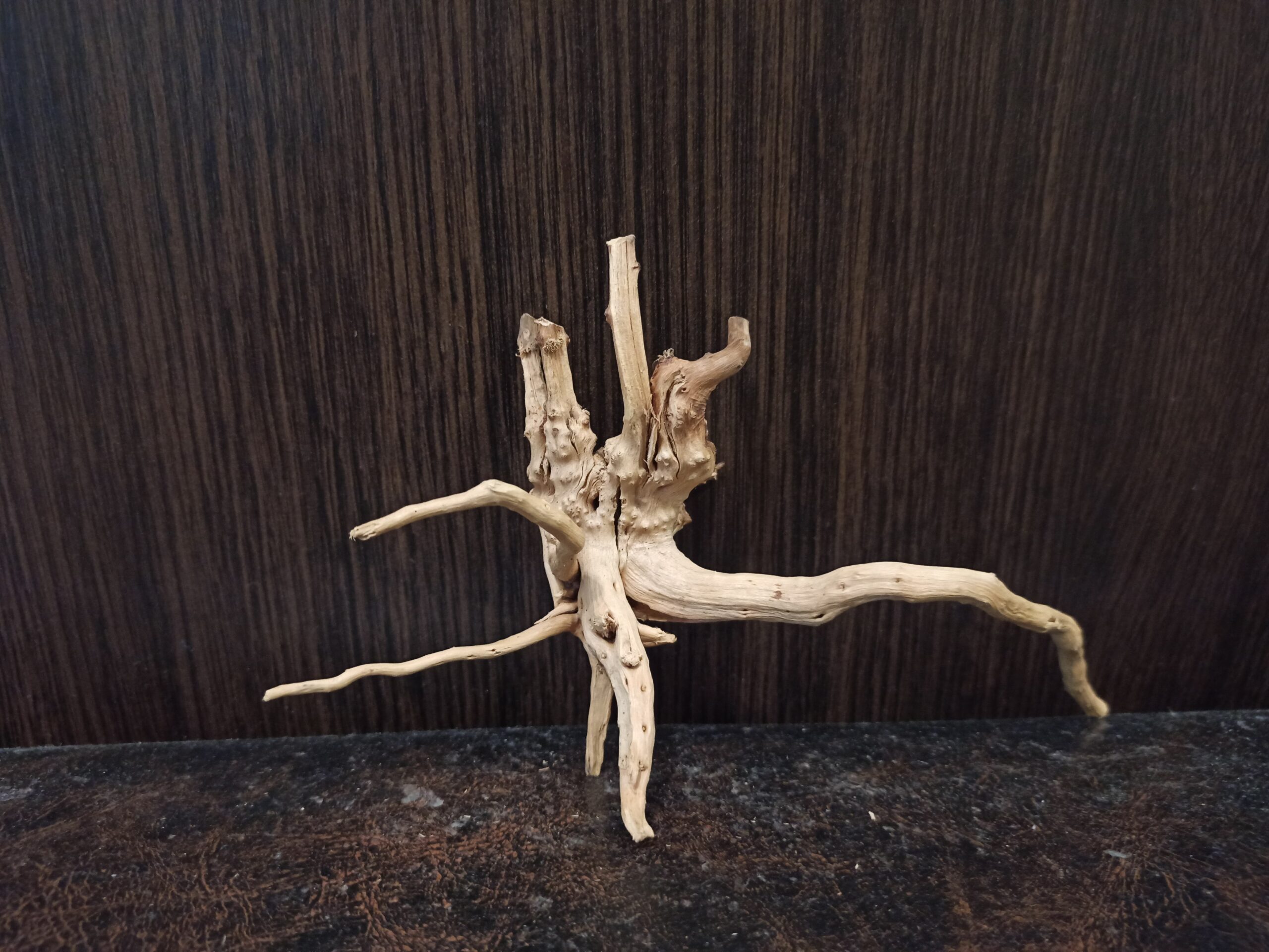 Коряга декор для акваріума # 121. Азалія. Ціна 160 грн. - Зображення 5