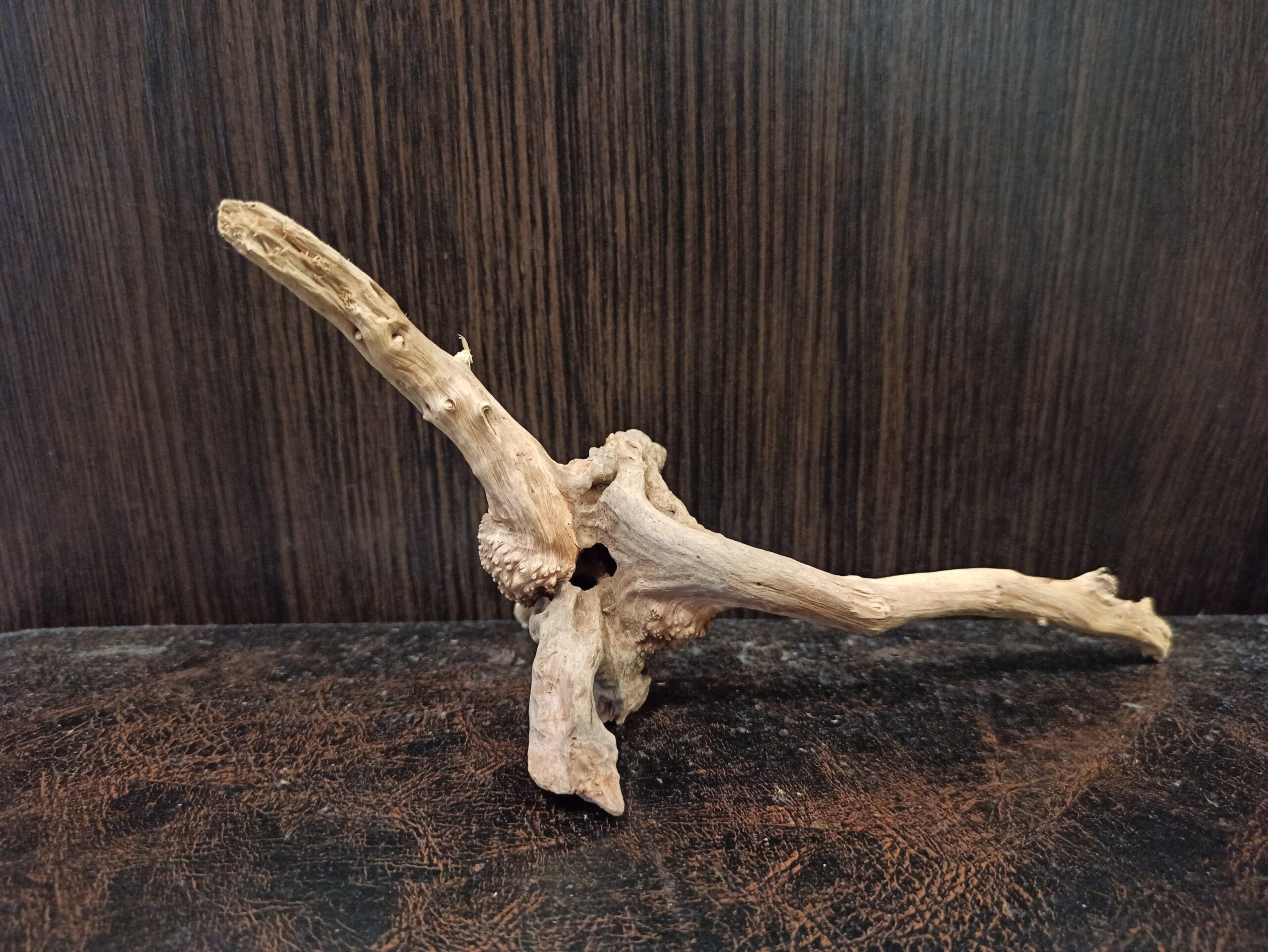 Коряга декор для акваріума # 127. Азалія. Ціна 150 грн. - Зображення 9
