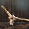 Коряга декор для акваріума # 127. Азалія. Ціна 150 грн. - Зображення 8
