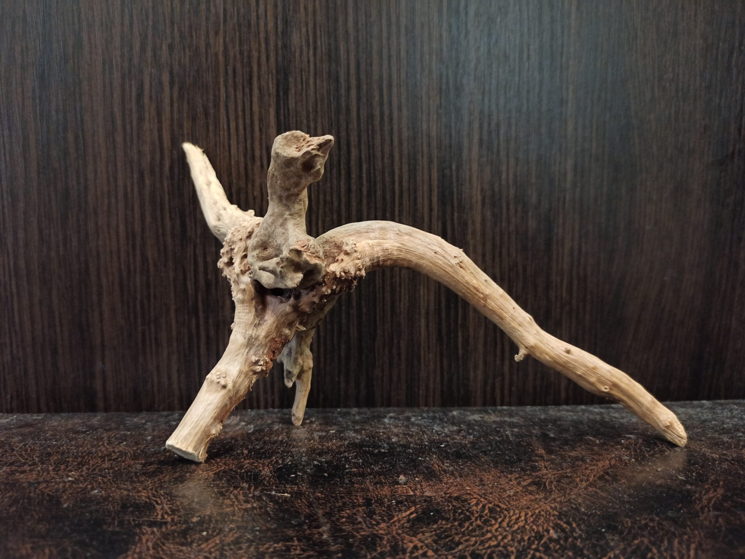 Коряга декор для акваріума # 127. Азалія. Ціна 150 грн. - Зображення 6