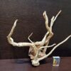 Коряга декор для акваріума # 1. Азалія. Ціна 485 грн. - Зображення 6