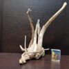 Коряга декор для акваріума # 7. Азалія. Ціна 450 грн. - Зображення 7