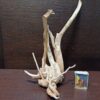 Коряга декор для акваріума # 7. Азалія. Ціна 450 грн. - Зображення 6
