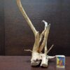 Коряга декор для акваріума # 7. Азалія. Ціна 450 грн. - Зображення 3