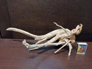 Коряга декор для акваріума # 7. Азалія. Ціна 450 грн.