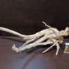 Коряга декор для акваріума # 7. Азалія. Ціна 450 грн. - Зображення 8