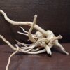 Коряга декор для акваріума # 8. Азалія. Ціна 595 грн. - Зображення 7