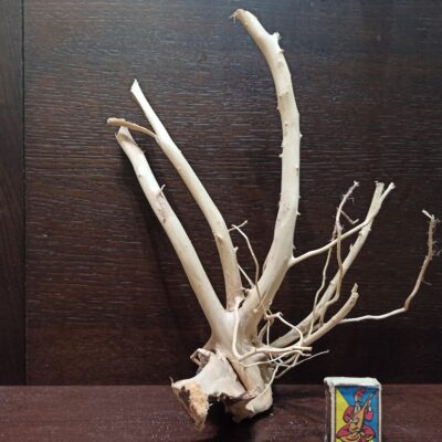 Коряга декор для акваріума # 9. Азалія. Ціна 490 грн.