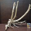 Коряга декор для акваріума # 9. Азалія. Ціна 490 грн. - Зображення 5