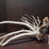 Коряга декор для акваріума # 9. Азалія. Ціна 490 грн. - Зображення 4