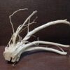Коряга декор для акваріума # 9. Азалія. Ціна 490 грн. - Зображення 3