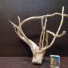 Коряга декор для акваріума # 13. Азалія. Ціна 295 грн. - Зображення 7