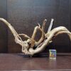 Коряга декор для акваріума # 23. Азалія. Ціна 760 грн. - Зображення 3