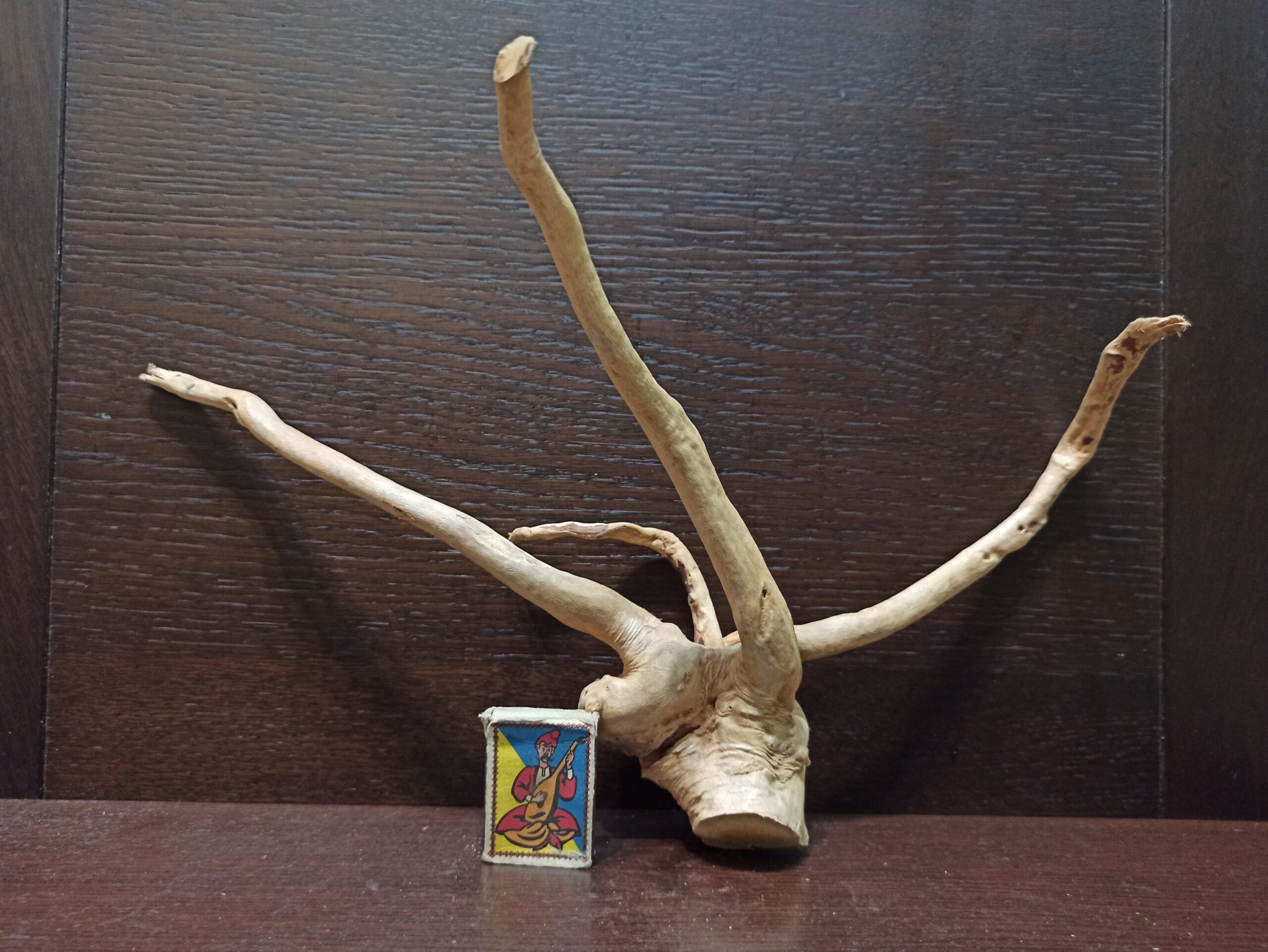 Коряга декор для акваріума # 26. Азалія. Ціна 290 грн. - Зображення 5