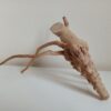 Коряга декор для акваріума # 42. Азалія. Ціна 390 грн. - Зображення 9