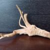 Коряга декор для акваріума # 19. Азалія. Ціна 140 грн. - Зображення 2