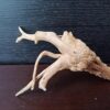 Коряга декор для акваріума # 19. Азалія. Ціна 140 грн. - Зображення 4