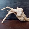 Коряга декор для акваріума # 69. Азалія. Ціна 95 грн. - Зображення 3