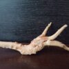 Коряга декор для акваріума # 71. Азалія. Ціна 85 грн. - Зображення 5