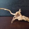 Коряга декор для акваріума # 72. Азалія. Ціна 160 грн. - Зображення 3