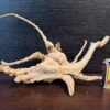 Коряга декор для акваріума # 112. Азалія. Ціна 250 грн. - Зображення 6