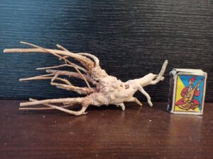 Коряга декор для акваріума # 118. Азалія. Ціна 120 грн.