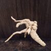 Коряга декор для акваріума # 111. Азалія. Ціна 170 грн. - Зображення 6