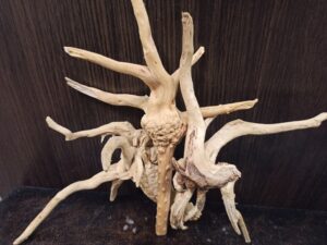 Композиція з коряг для акваріума #21. Азалія. Ціна 450 грн.
