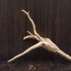 Коряга декор для акваріума # 144. Азалія. Ціна 100 грн. - Зображення 4