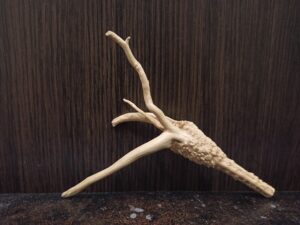 Коряга декор для акваріума # 144. Азалія. Ціна 100 грн.