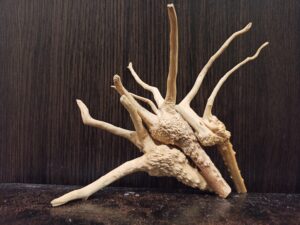 Композиція з коряг для акваріума #23. Азалія. Ціна 285 грн.