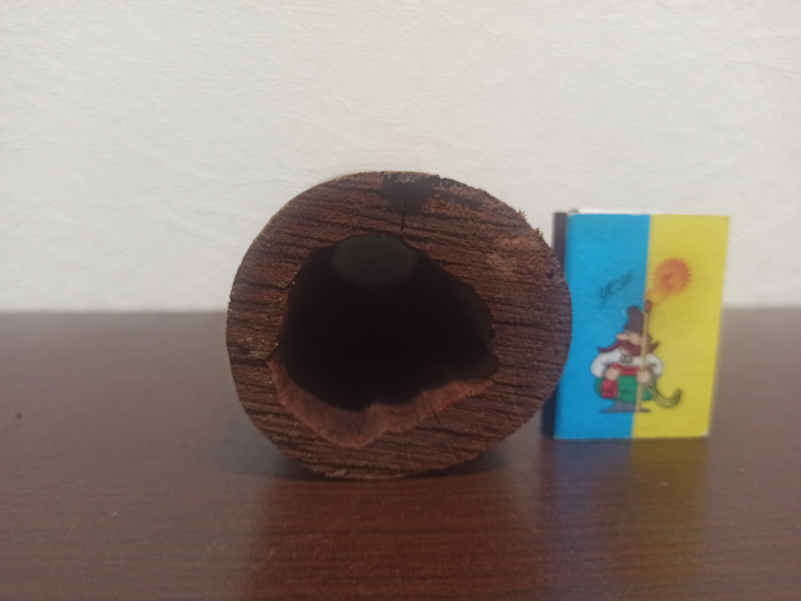 Коряга декор для акваріума # 12. Слива. Ціна 200 грн. Наскрізна. - Зображення 4