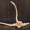 Коряга декор для акваріума # 140. Азалія. Ціна 90 грн. - Зображення 5