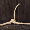 Коряга декор для акваріума # 140. Азалія. Ціна 90 грн. - Зображення 3