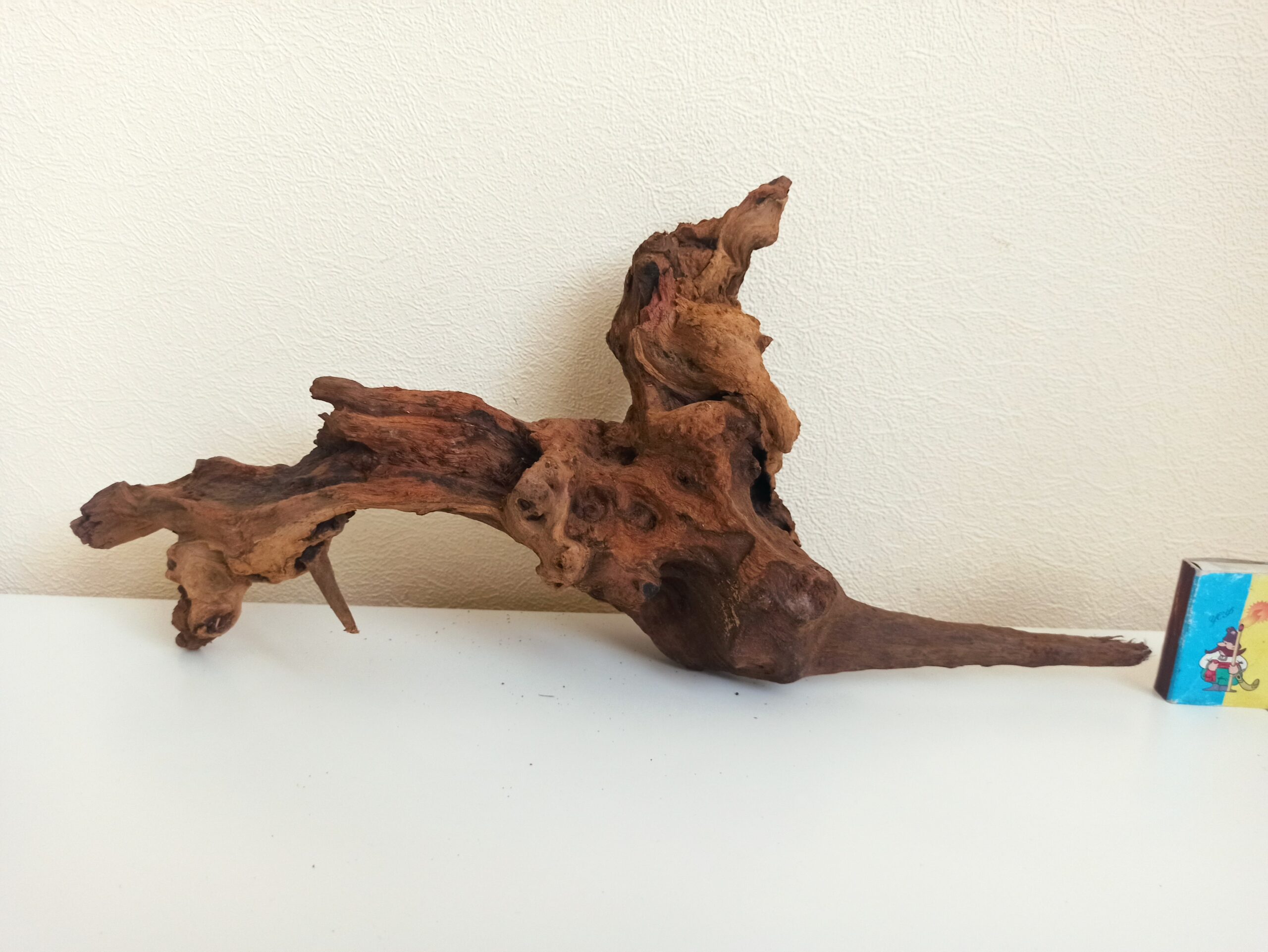 Коряга декор для акваріума # 50. Кораловий корінь. Ціна 590 грн. - Зображення 2