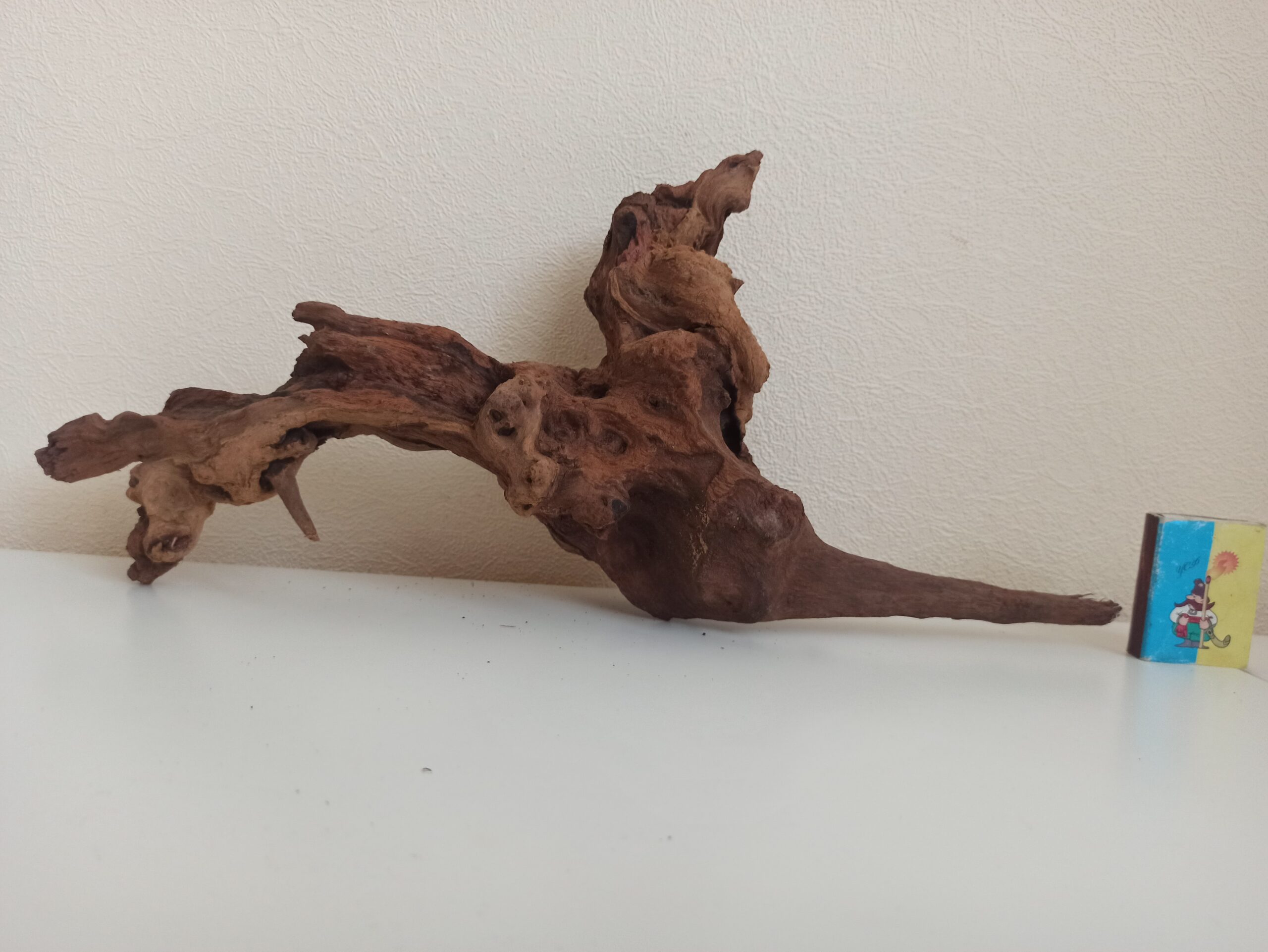 Коряга декор для акваріума # 50. Кораловий корінь. Ціна 590 грн. - Зображення 7