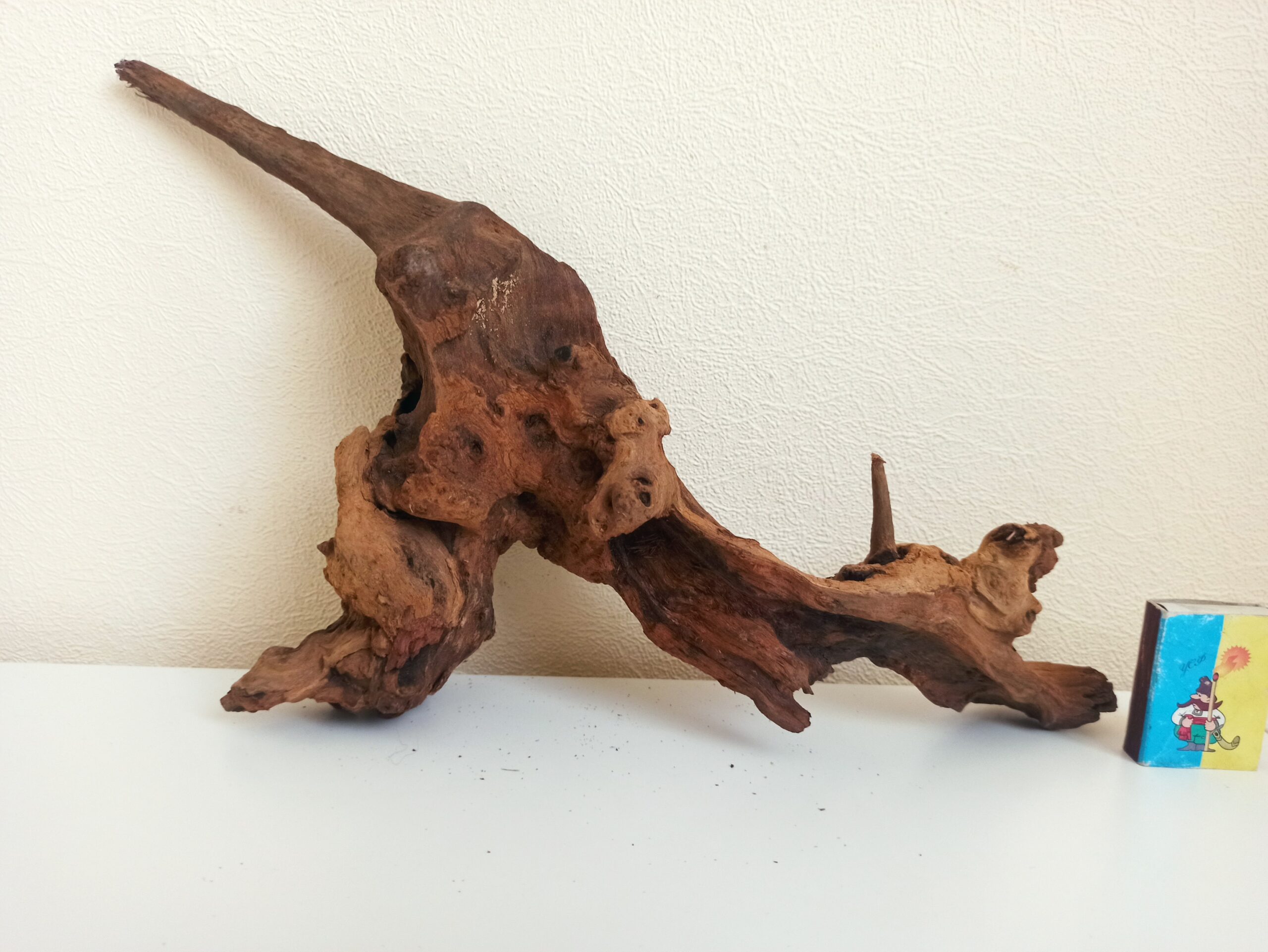 Коряга декор для акваріума # 50. Кораловий корінь. Ціна 590 грн. - Зображення 5