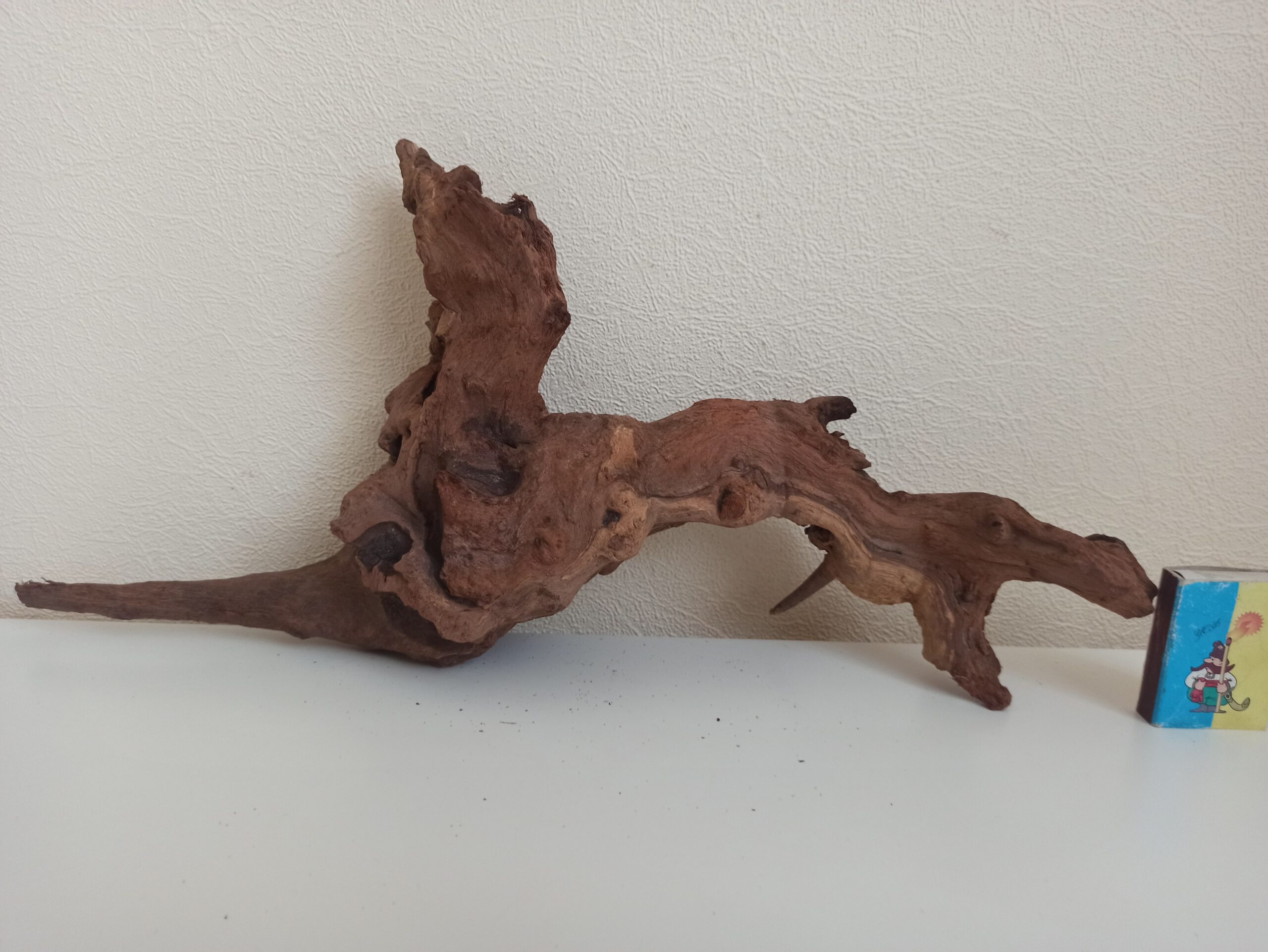 Коряга декор для акваріума # 50. Кораловий корінь. Ціна 590 грн. - Зображення 4