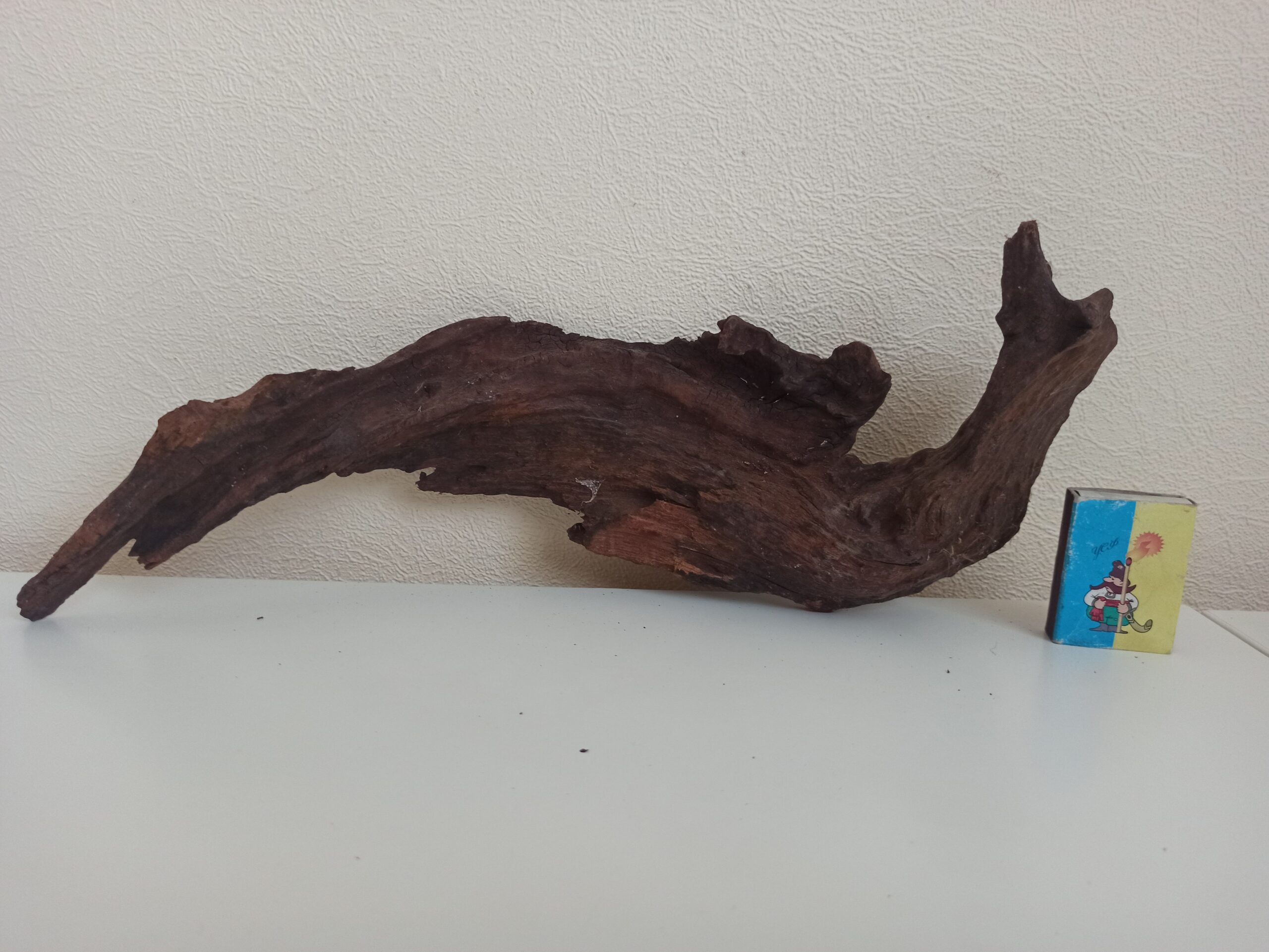 Коряга декор для акваріума # 58. Кораловий корінь. Ціна 370 грн. - Зображення 4