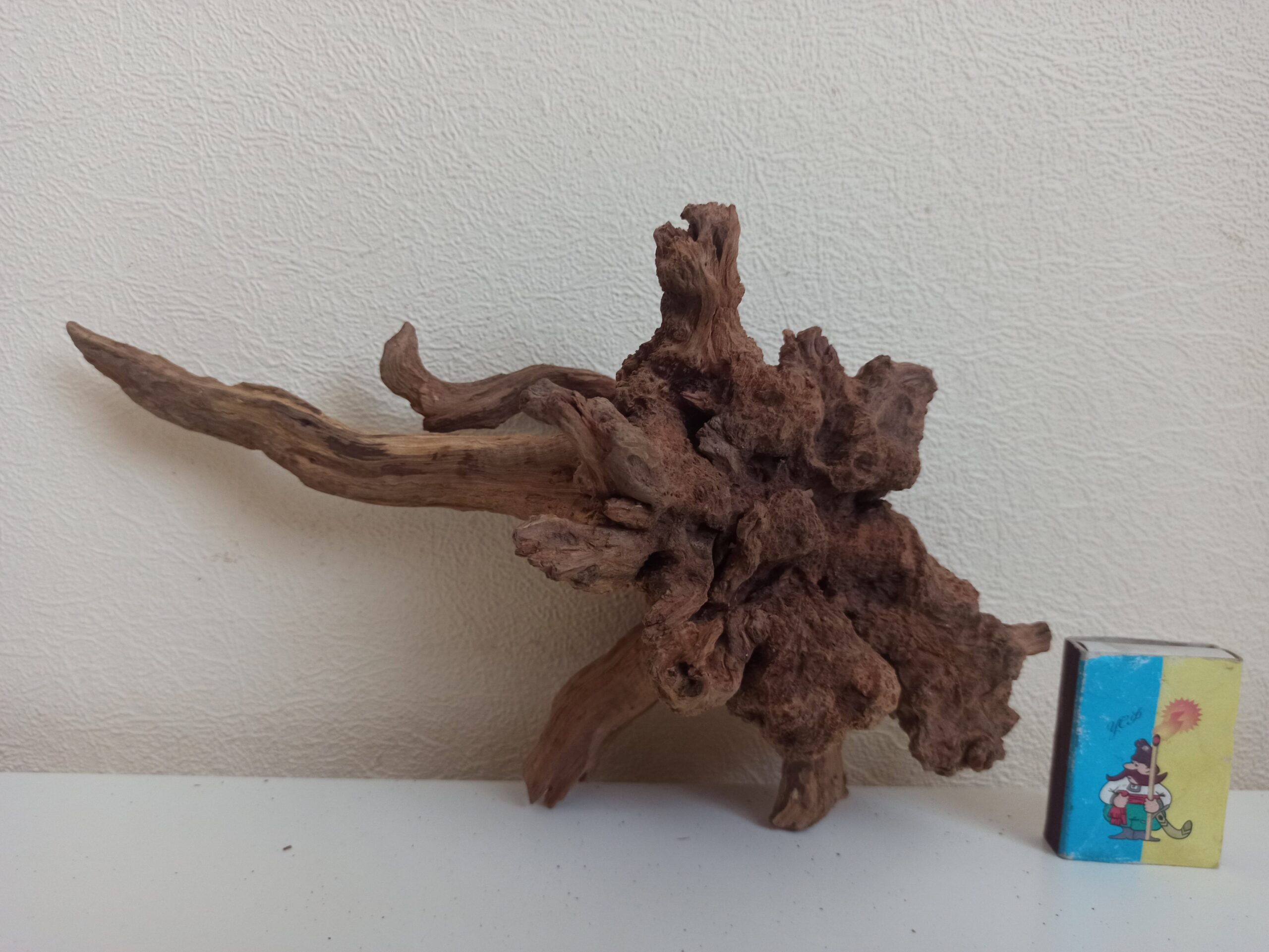 Коряга декор для акваріума # 64. Кораловий корінь. Ціна 320 грн. - Зображення 6
