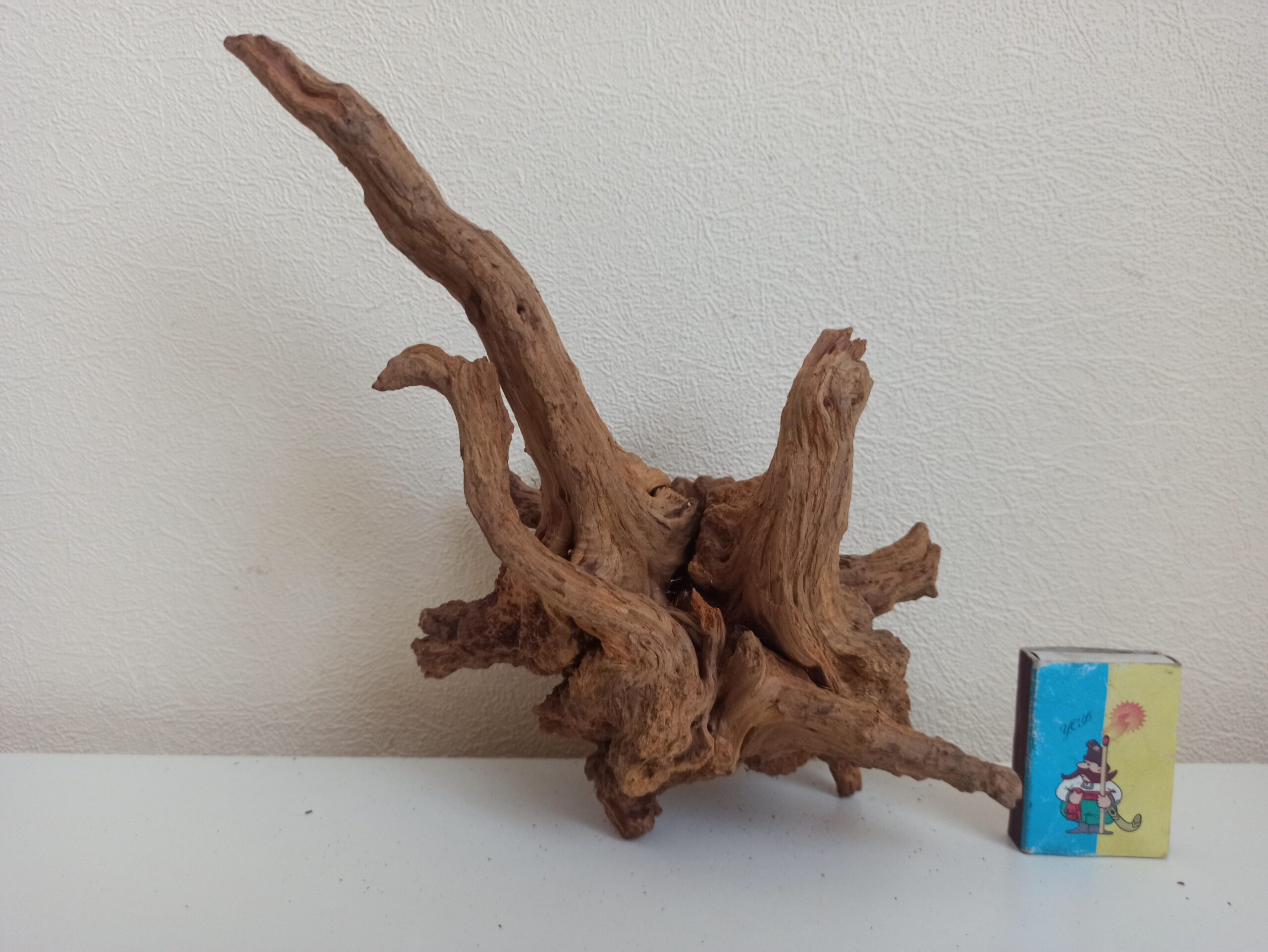 Коряга декор для акваріума # 64. Кораловий корінь. Ціна 320 грн. - Зображення 4