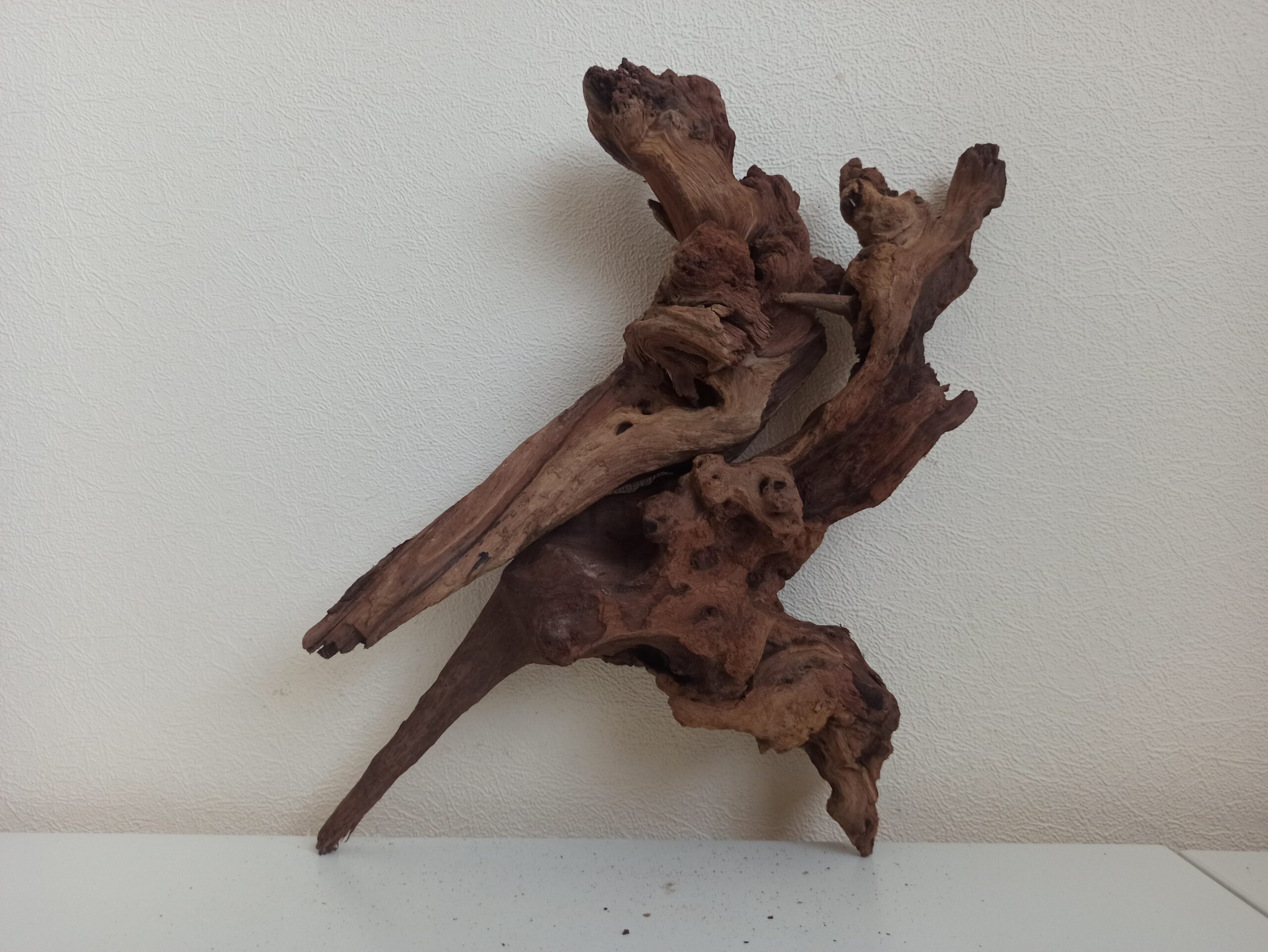 Композиція з коряг для акваріума #6. Кораловий корінь. Ціна 755 грн. - Зображення 7