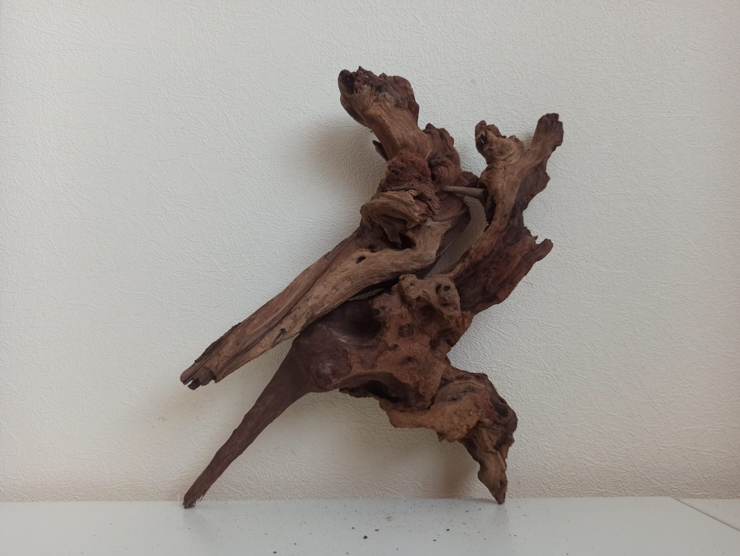 Композиція з коряг для акваріума #6. Кораловий корінь. Ціна 755 грн. - Зображення 6