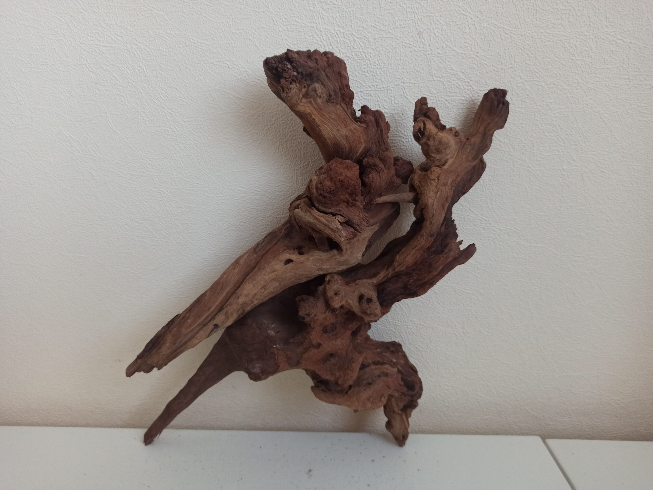 Композиція з коряг для акваріума #6. Кораловий корінь. Ціна 755 грн. - Зображення 5